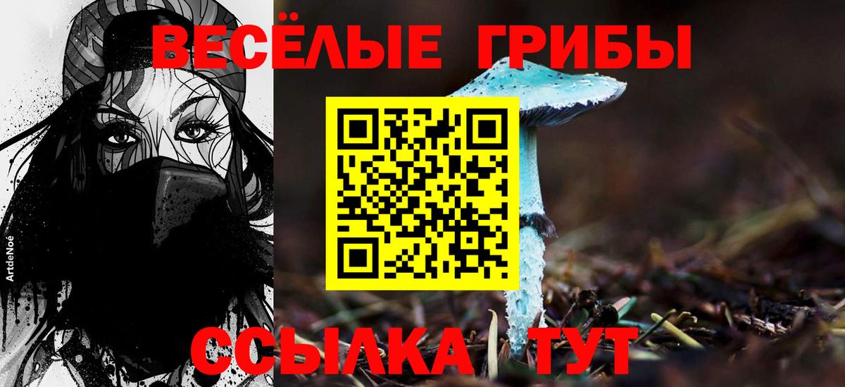 Тавда  Галлюциногенные грибы Psilocybe  магазин    Вход с VPN  Галлюциногенные грибы Psilocybe 